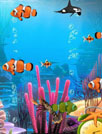 水族馆海葵动态壁纸