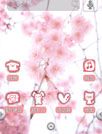 唯美樱花卡通主题sakura