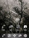 神秘黑森林