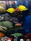 Aquarium Live Wallpaper