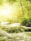 Best Nature Wallpaper
