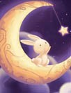 幸运的星星