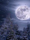 降雪动态壁纸