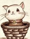 小萌猫主题[GO桌面主题]