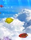3D梦幻水族馆