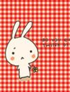 Cute 兔[91熊猫桌面主题]