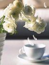 午后茶香动态壁纸
