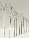 简约[GO桌面主题]