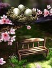 彩色季节动态壁纸