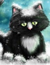 卡通猫咪壁纸