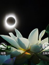荷花[91熊猫桌面主题]