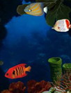 热带水族馆动态壁纸