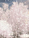 丛林飘雪动态壁纸