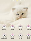 可爱猫咪主题[魔秀主题]
