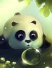 熊猫欢欢动态壁纸