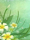 工笔花卉动态壁纸