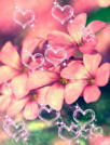 花香飘逸动态壁纸