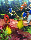 唯美水族馆动态壁纸