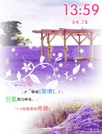 薰衣草之恋主题