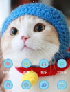 卖萌小猫咪[魔秀主题]