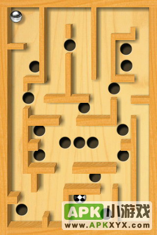 重力球迷宫:Labyrinth