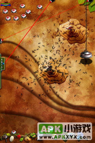 口袋蚂蚁:Pocket Ants