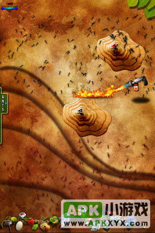 口袋蚂蚁:Pocket Ants