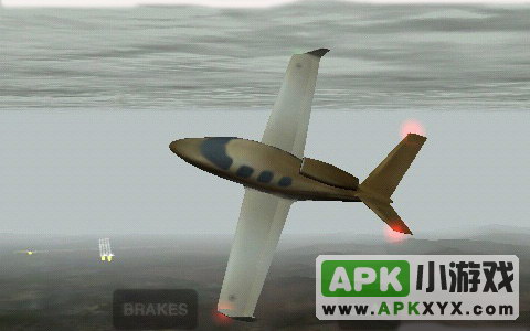 专业模拟飞行:X Plane 9 Flight Simulator