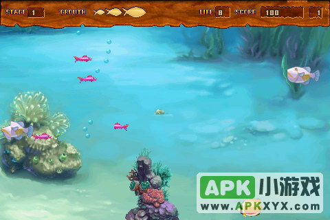 疯狂的小鱼：Crazy Fish