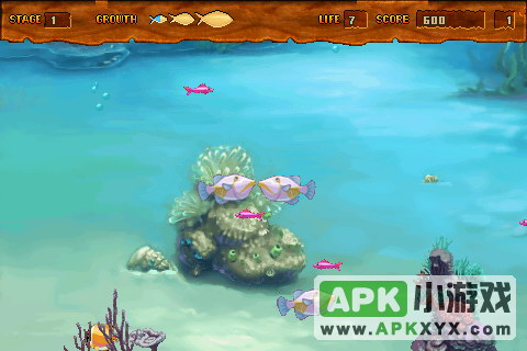 疯狂的小鱼：Crazy Fish
