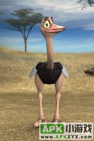 会说话的鸵鸟：Talking Joe Ostrich
