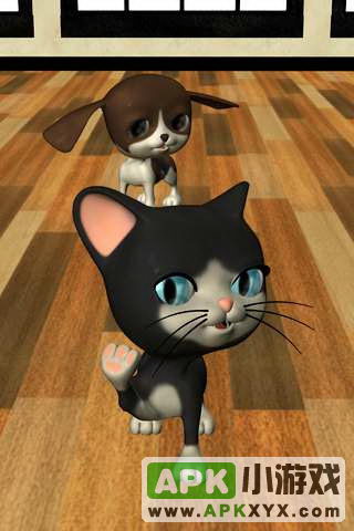 会说话的小猫:Talking Cat Background Dog