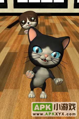 会说话的小猫:Talking Cat Background Dog