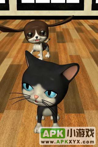 会说话的小猫:Talking Cat Background Dog