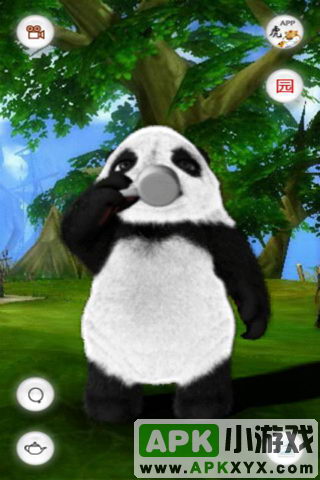 会说话的熊猫滚滚:Crouching Panda