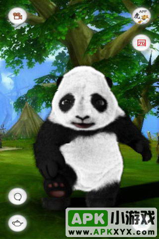 会说话的熊猫滚滚:Crouching Panda