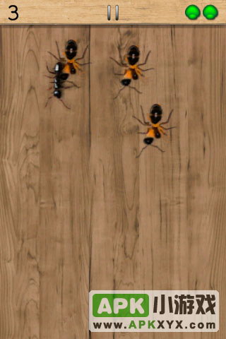 打蚂蚁:Ant Smasher