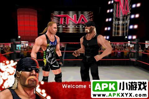 TNA拳击大赛:TNA Wrestling iMPACT!