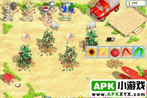 阳光农场:Sunshine Acres