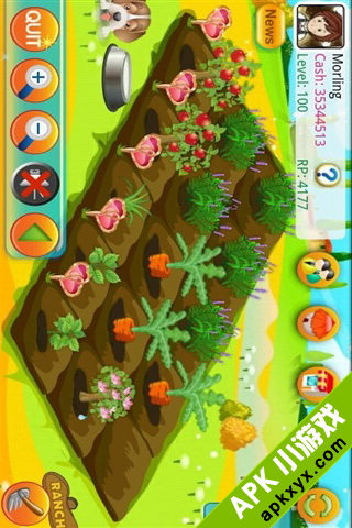 木瓜农场：Papaya Farm HD