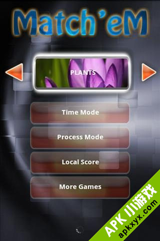 Memory Match