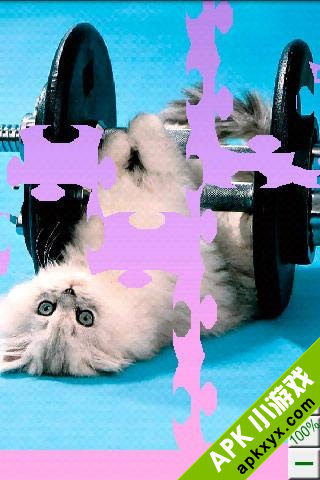 小猫拼图:Cats Puzzle