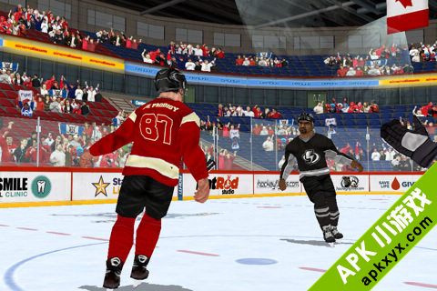 冰球格斗高清版:Hockey Fight Pro