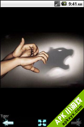 手影游戏:Hand shadow