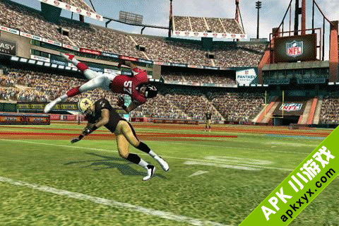 橄榄球竞技：NFL Rivals