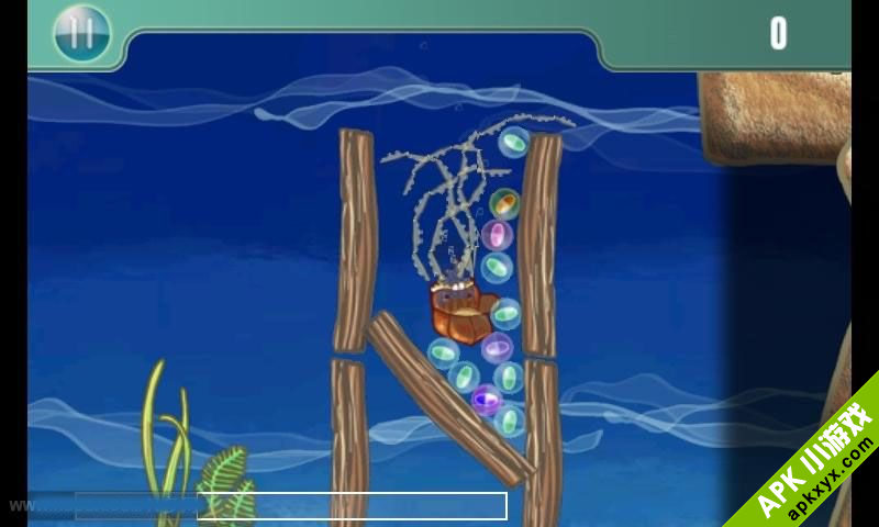 水母进城:Redneck Jellyfish