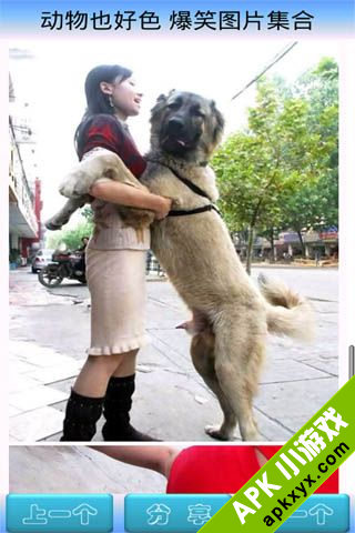 嘻哈吧