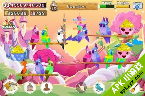 小鸟世界:Bird Land