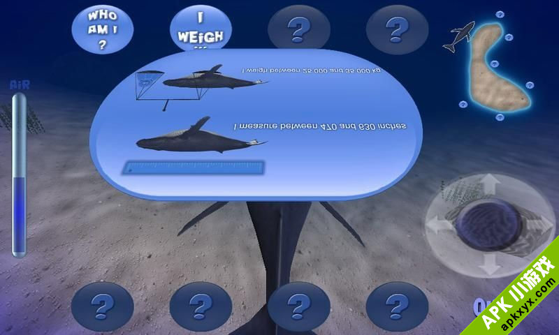 驼背鲸:Humpback Whale Lite