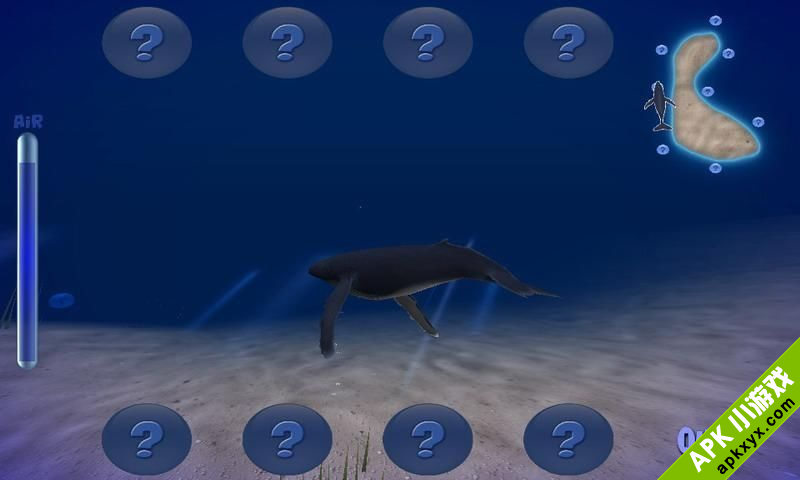 驼背鲸:Humpback Whale Lite